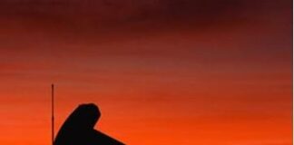 Global Equity Markets Down as Crude Prices Drop Below 