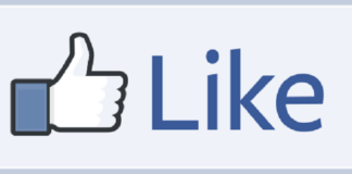 Facebook Like Button