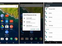 Google Voice Access