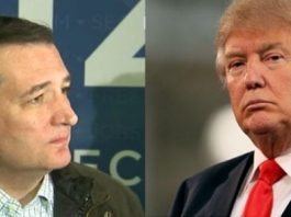 Cruz vs Trump