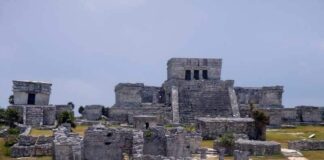 Mayan City