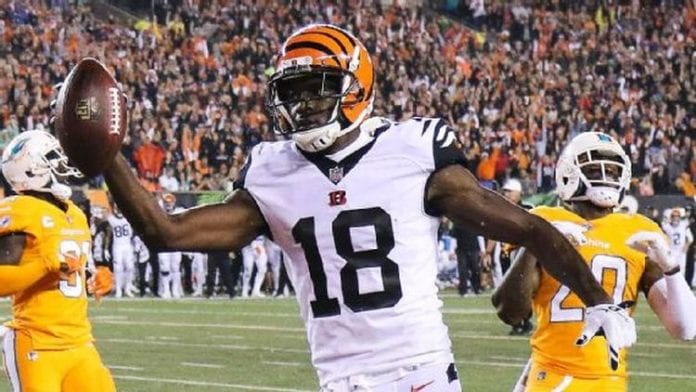 aj-green-puts-on-a-show-against-dolphins