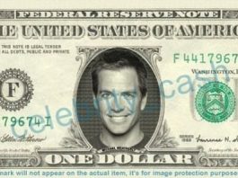 Michael Weatherly Net Worth 1