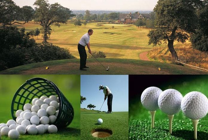 Golf Management Company - Goals And Objectives