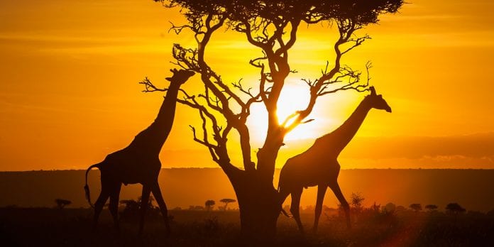 Reasons for Choosing Kenya as a Holiday Destination