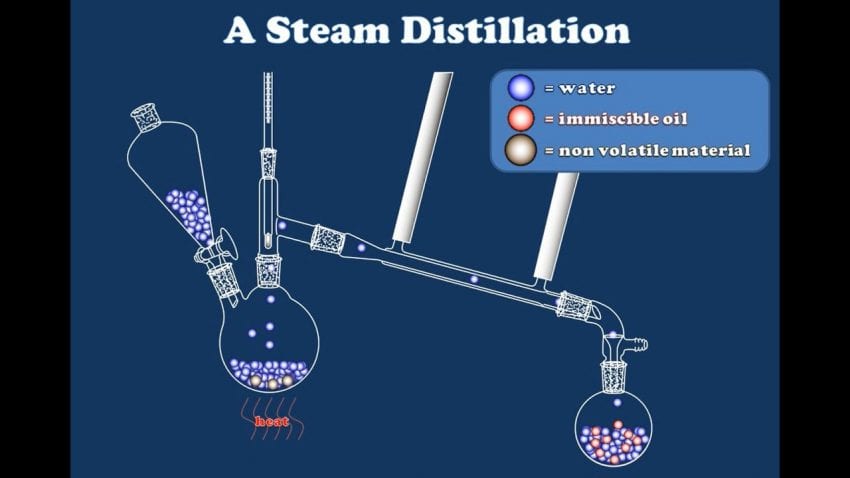 Steam Distillation Processing Unit Cannabis Oil Extraction Explained: Different Methods and Advantages ...