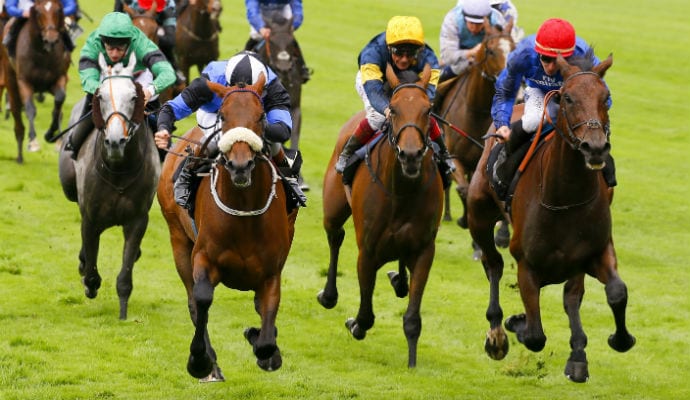 How Does Horse Betting Work