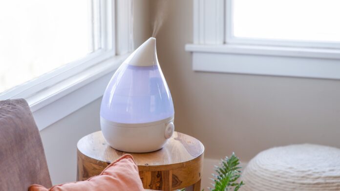 Why You Need to Buy a Humidifier for Your Home