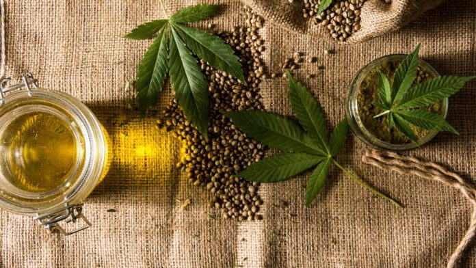 Hemp Oil VS CBD Oil
