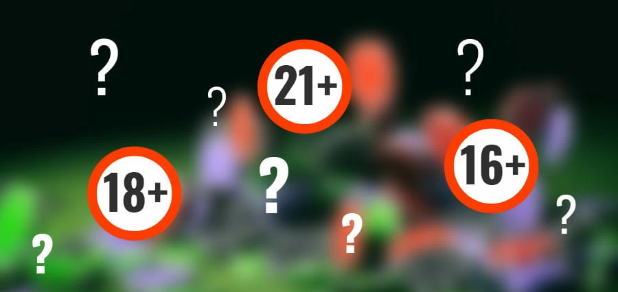 Minimum Age in Online Casinos Worldwide