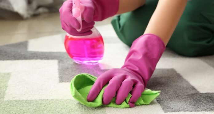 How to Kill and Get Rid of Carpet Beetles How to Kill and Get Rid of Carpet Beetles