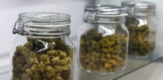 Glass Jars-The Perfect Storage Solution for Cannabis and Seasonings