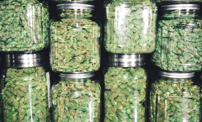 keeping cannabis in Glass jars