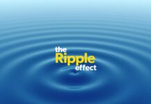 The Ripple Effect: How Small Donations Can Make Big Waves ripple effect