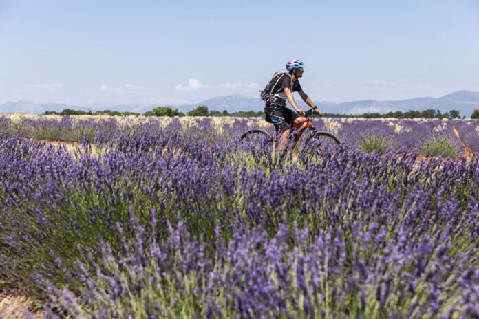 Outdoor Activities in Provence
