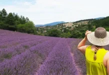 Lavender Calendar trip to provence
