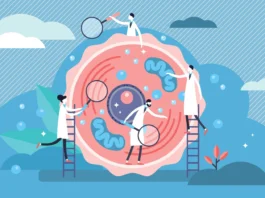 Define Your Cellular Health