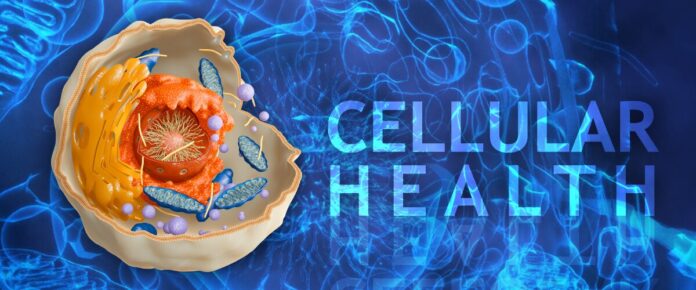 What Is Cellular Health