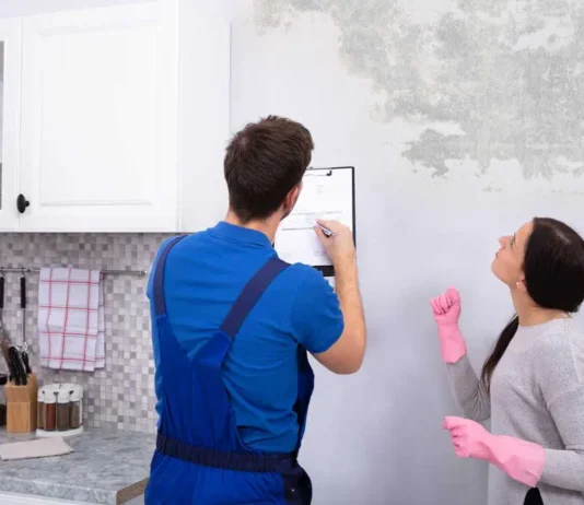 mold inspection in home
