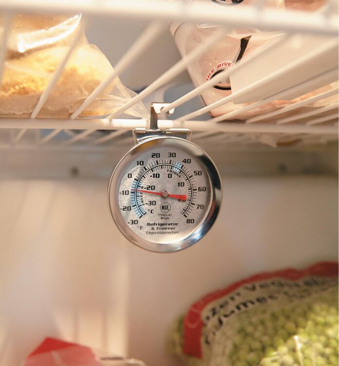 thermometer for freezer