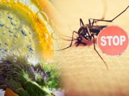 Repel Mosquitos Naturally