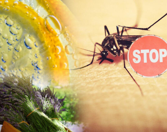 Repel Mosquitos Naturally