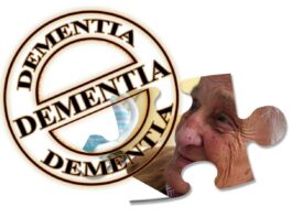 Dementia-Friendly Bathrooms for the Elderly