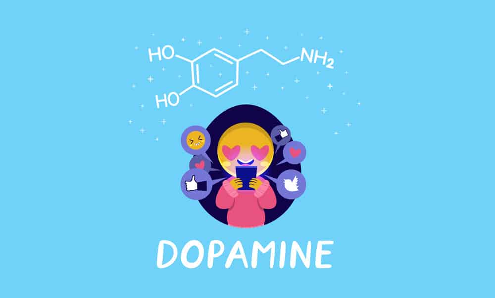 dopamine in your brain