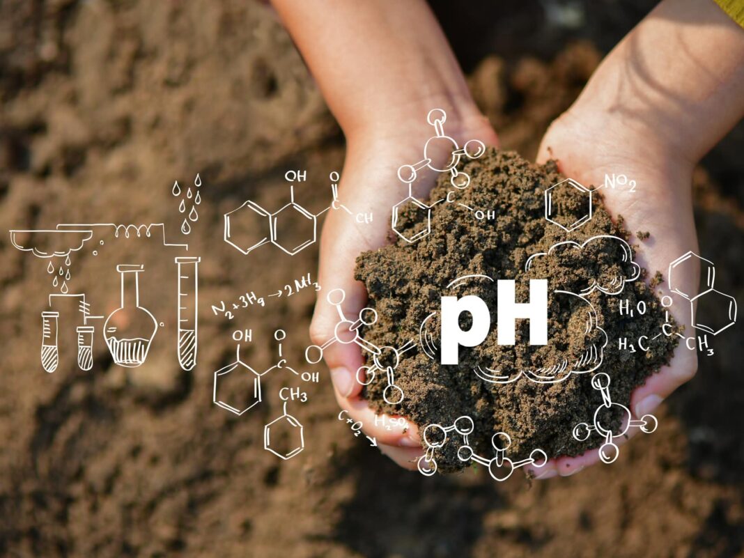Understanding Soil pH - How to Test and Amend Your Garden Soil ...