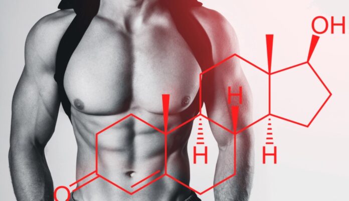 men Hormonal Balance