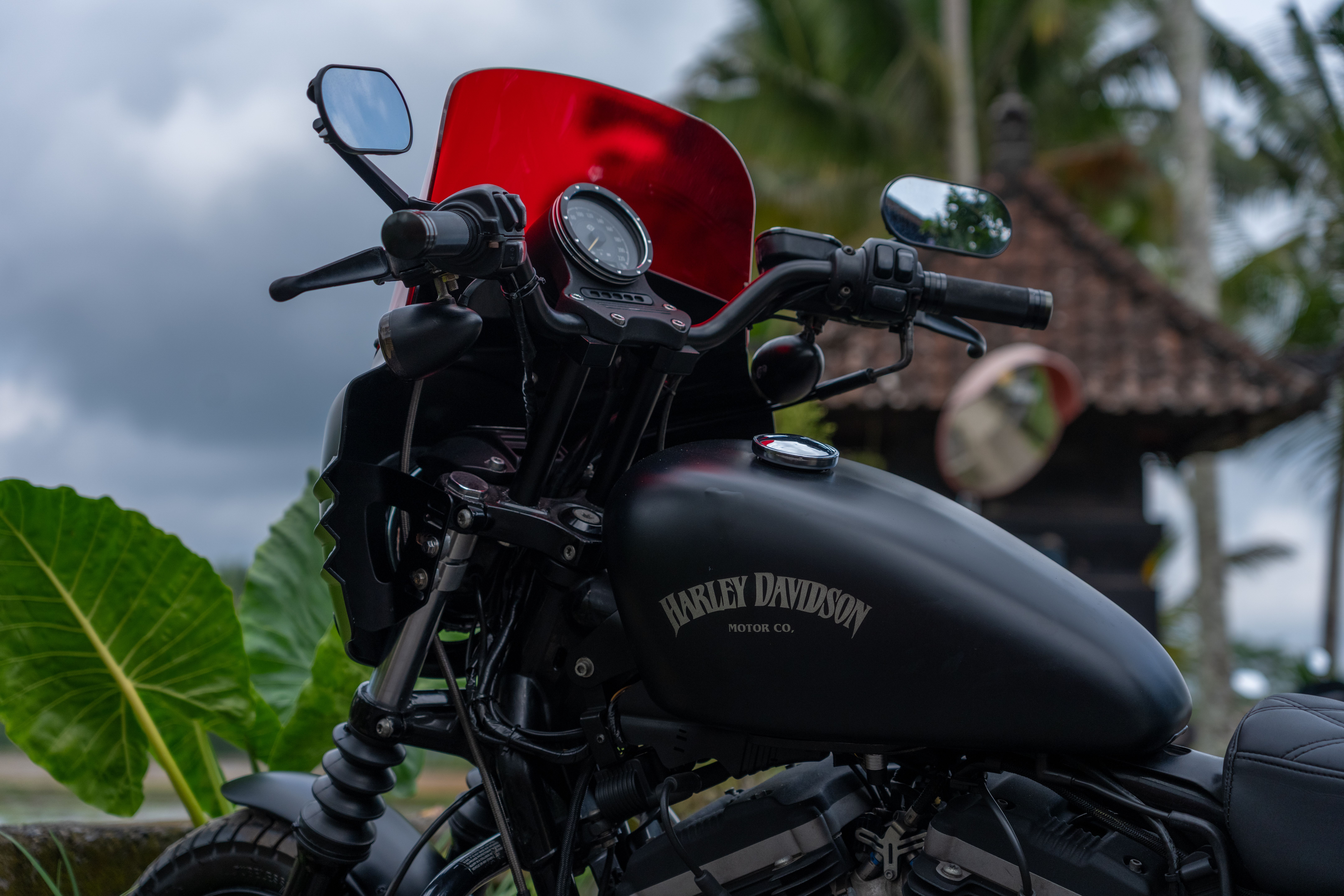 Harley Davidson motorcycle with a red windshield among tropical green foliage