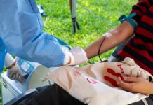 Give Plasma: Understanding the Meaning Behind Every Donation