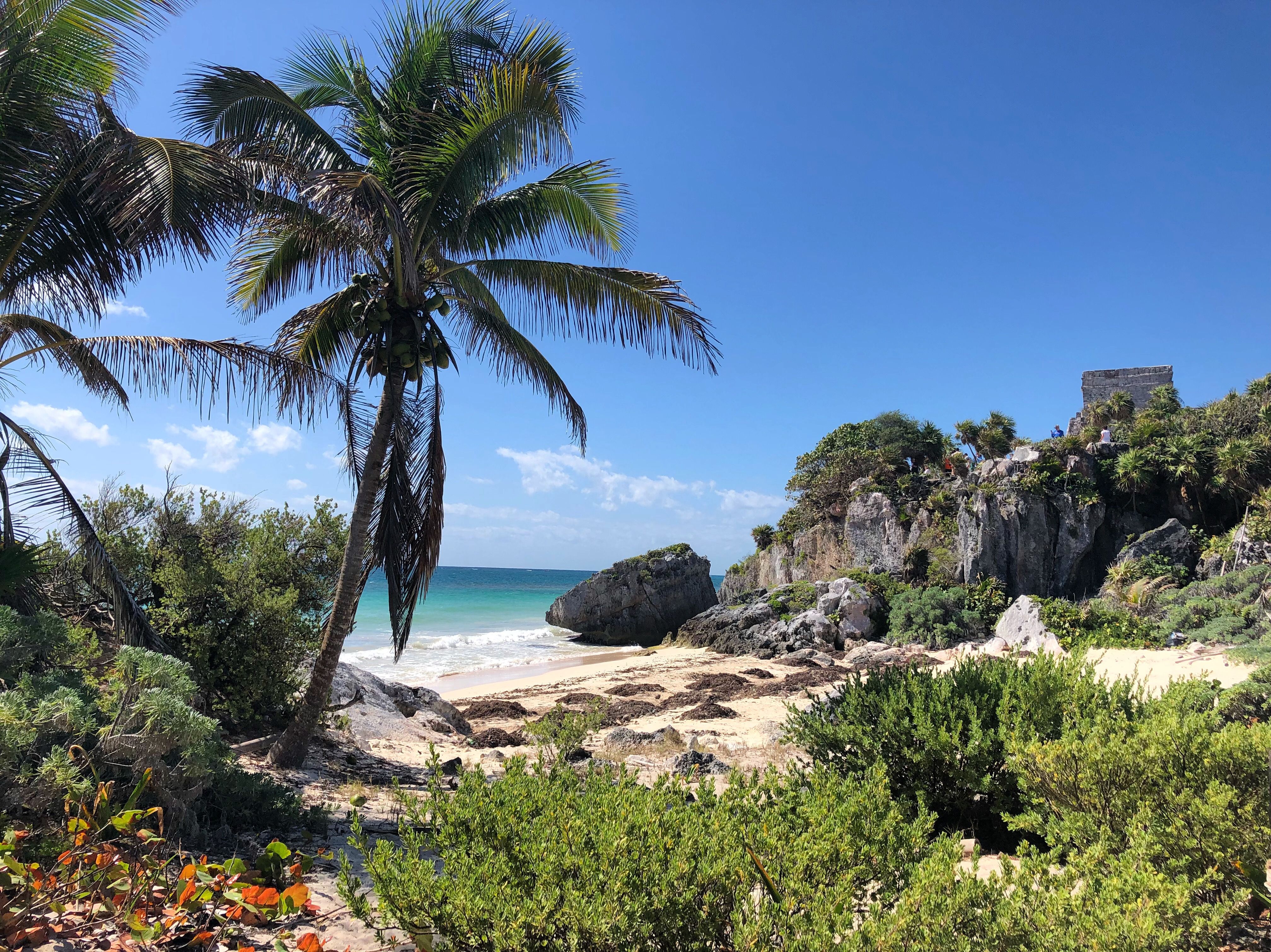 Tropical beach with palm trees beside the ancient Mayan ruins of Tulum, Mexico, a warm winter getaway